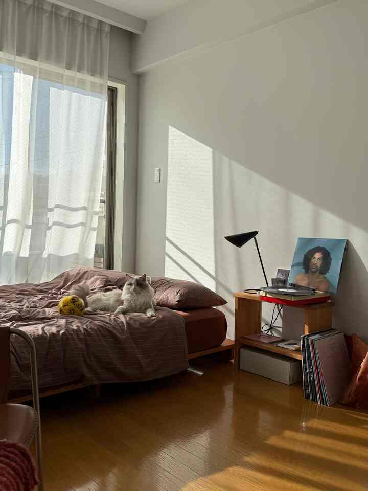Natural and warm studio apartment with soft brown bedspread, white walls, and morning sunlight streaming through sheer curtains
