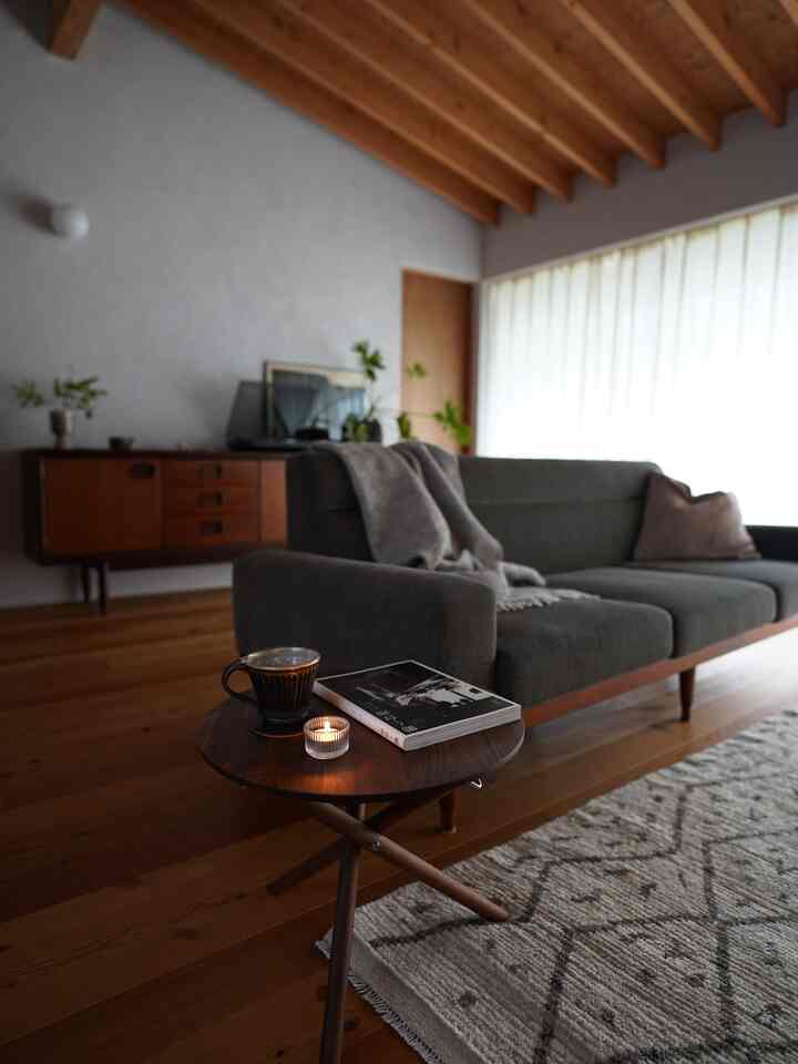 Cozy living room with warm brown wood tones and gray sofa featuring a patterned rug, creating a natural and inviting atmosphere