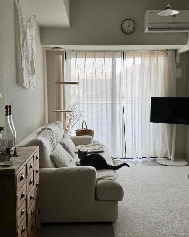 狭い1LDKの賃貸ハウス。
テレビスタンドのおかげで広々と使えてます◎
キャスター付きなのでいろんなところに持ってけるのが便利だと◎

#テレビスタンド #リビング #賃貸暮らし 
#DIY #猫と家  #カーテン #リネンカーテン 
#ソファ #白いソファ #キャットタワー #サイドボード #アンティーク #古家具 