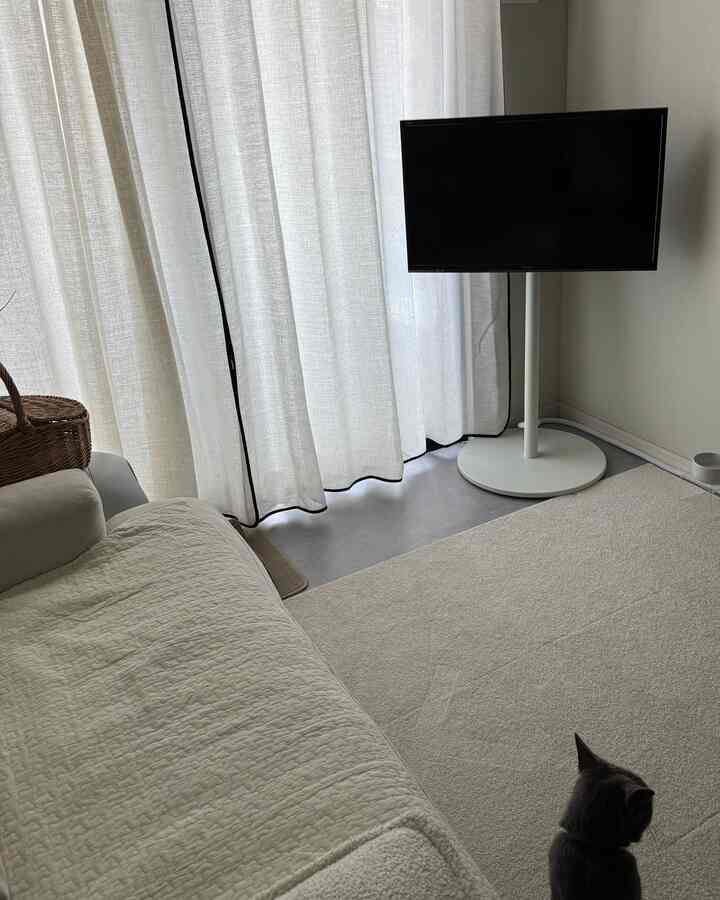 Beige-toned living room featuring a beige sofa and TV stand, a quiet cozy space with a cat sitting on the carpet