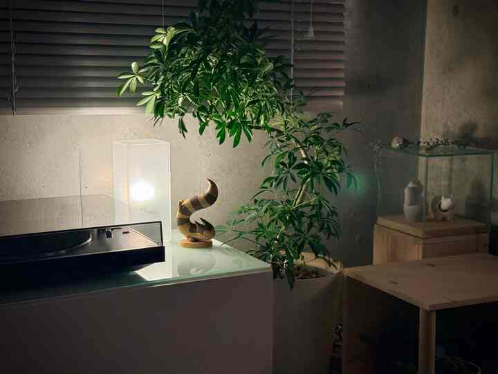 2025.11.14

新しいオブジェを置いてみた。

くねっとしたフォルムが可愛らしい木彫りっぽいオブジェ

お部屋の雰囲気にも馴染んでくれるかな？

#ワンルーム　#民藝　#レコード　#DIY #木彫り　#ポケモン