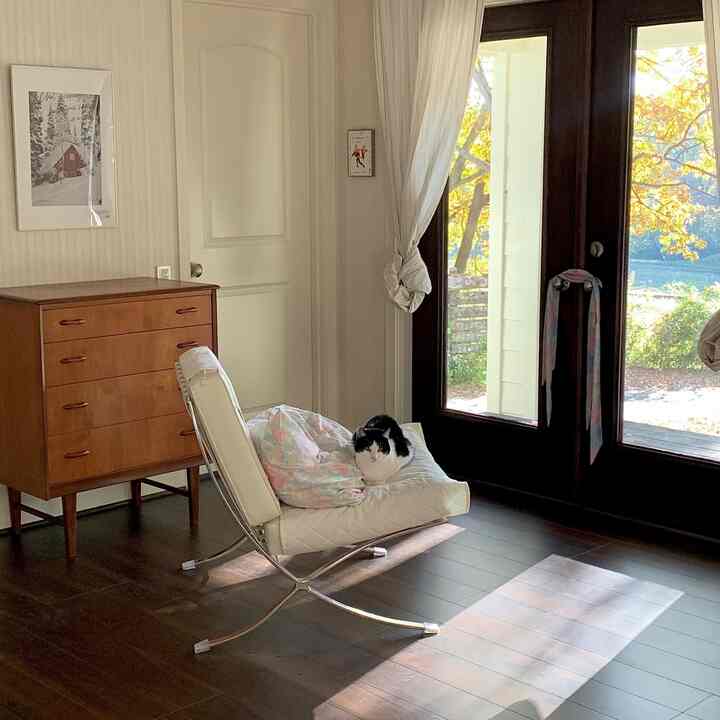 Natural-toned living room featuring a wood tone dresser, white lounge chair with a cat, and warm autumn light through large window