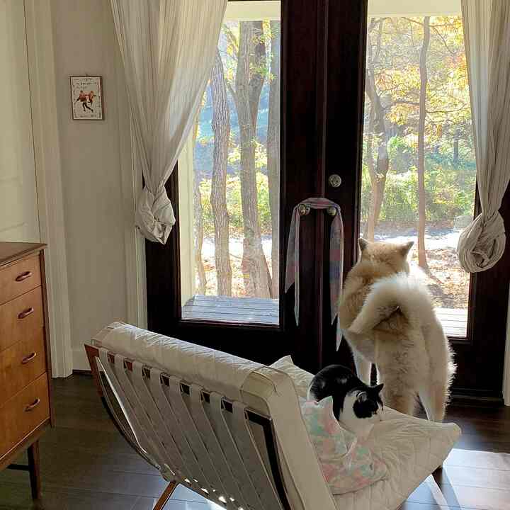リビングに大きなパティオドアを付けました🪟

リビングの一角です🛋
どうしてもフレンチドアタイプのパティオドアが良かったので特別に発注しました🥰仕上げはマホガニーにしてもらいました🟫

#リビング #ソファー #フレンチドア #窓 #窓カーテン #新築 #新築インテリア 