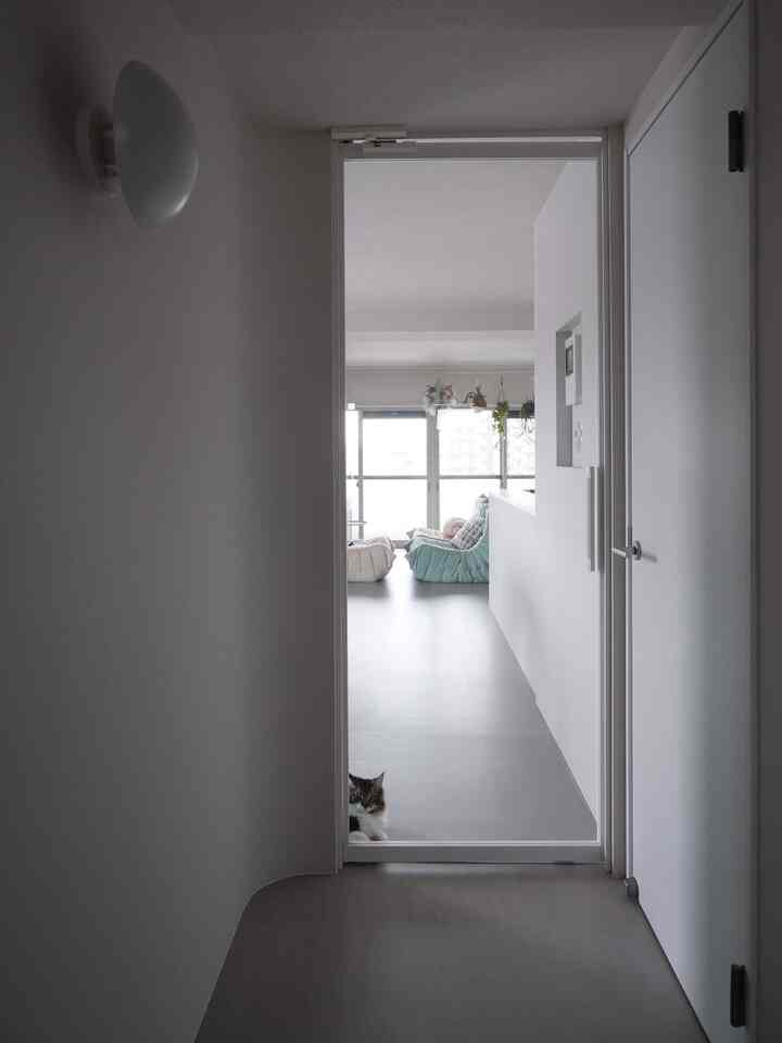 The interior of the hallway is curved.

#Renovation #廊下 #間接照明