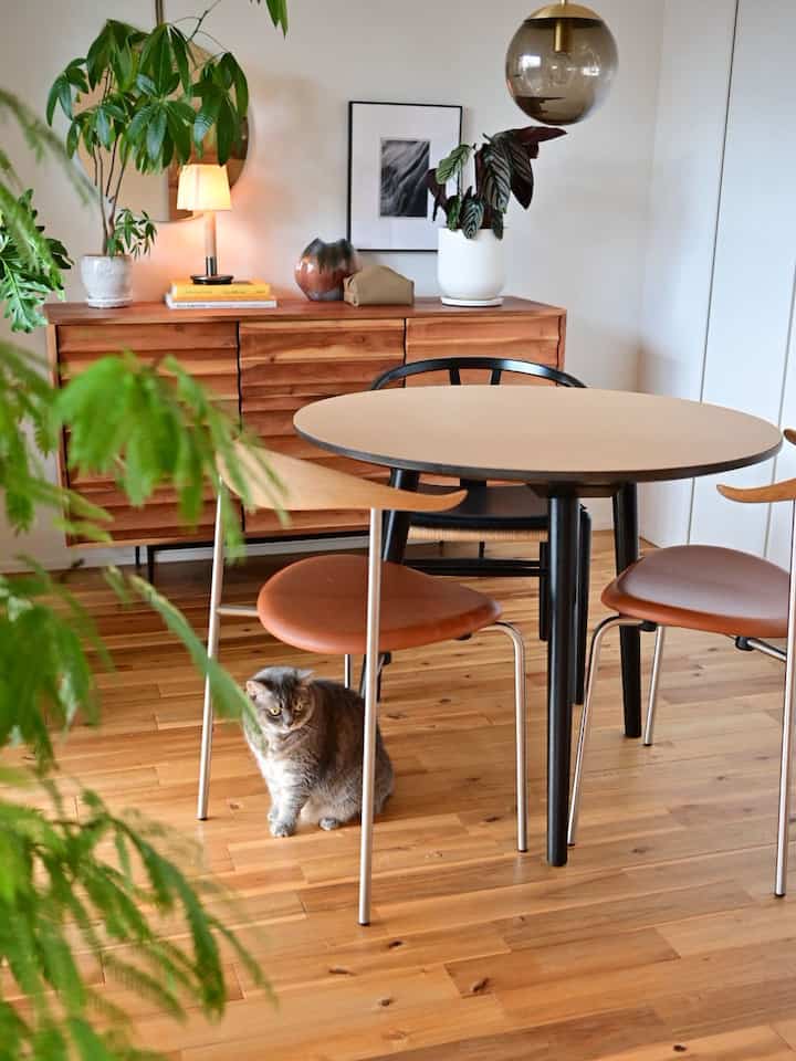 Light brown wood-toned dining room featuring a round dining table with chairs and a gray cat, creating a warm and natural atmosphere