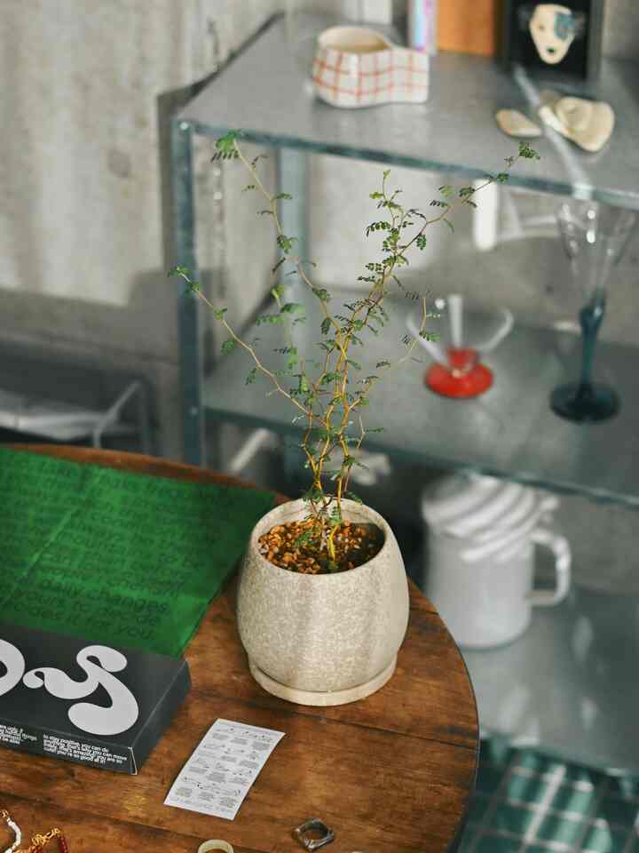 A natural-toned sunroom featuring a vintage wooden table with a small plant and gray metal shelving in the background