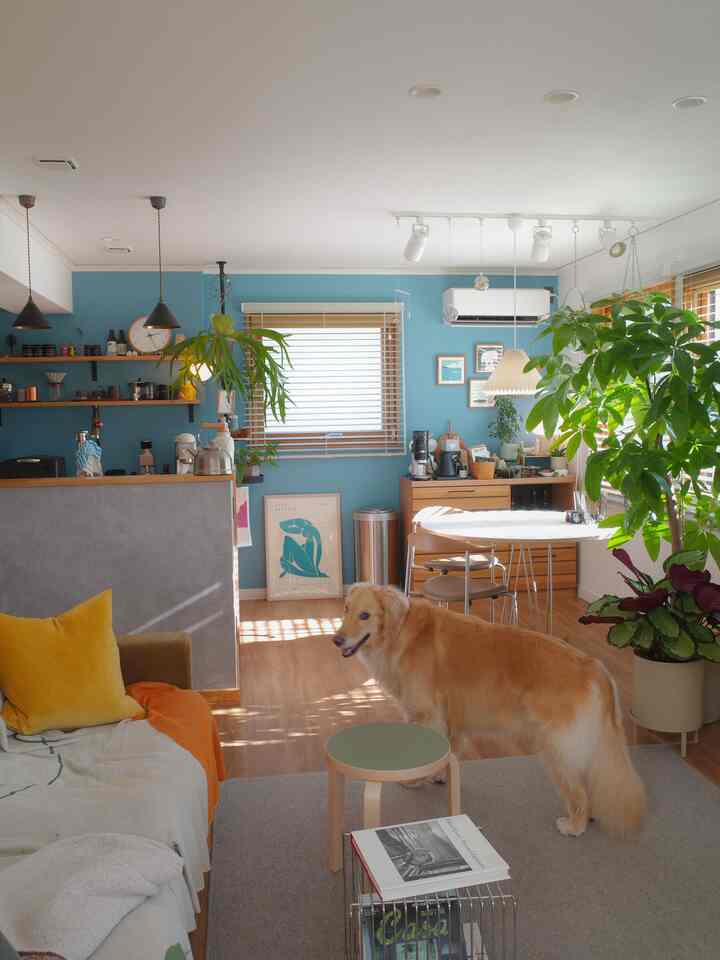 ブルーとウッドトーンのリビング、犬とおうちカフェの要素がある自然でモダンな雰囲気のインテリア