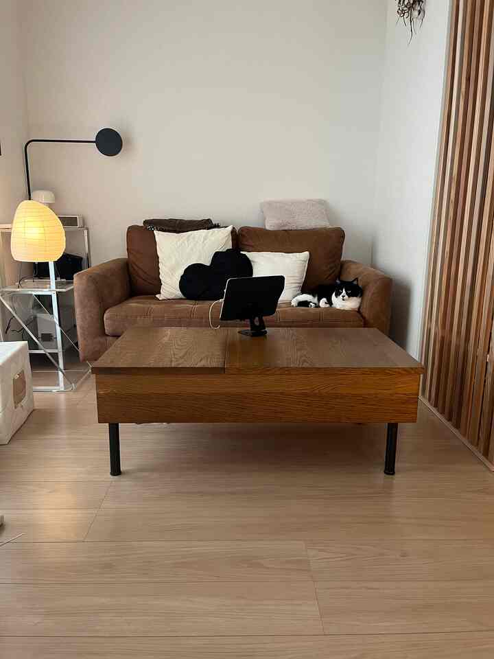 ブラウンと木目調の一人暮らしリビング、ソファとコーヒーテーブルに猫がくつろぐモダンでナチュラルなインテリア