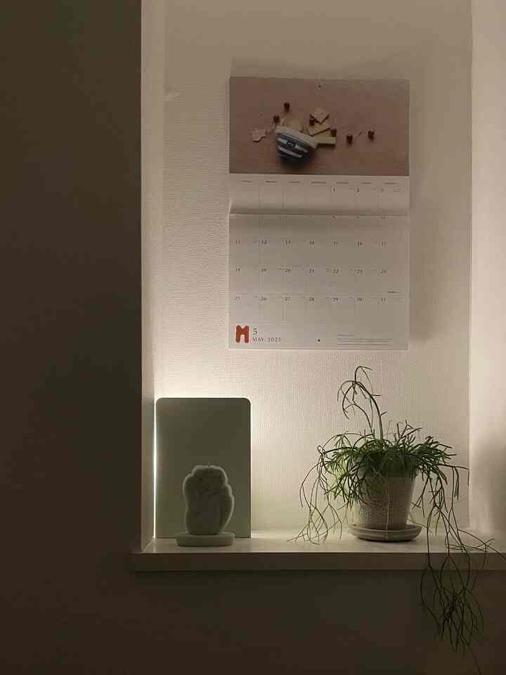 A sudden tutorial on how to use 100-yen store bookends
#Seria #ダイソー #Seria #DAISO