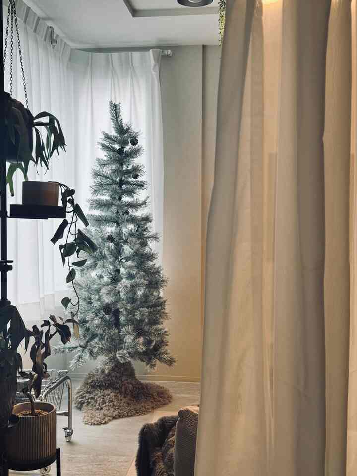 オーナメント飾る前のヌードツリーも
嫌いじゃない😌
　
#クリスマス #ヌードツリー #北欧インテリア