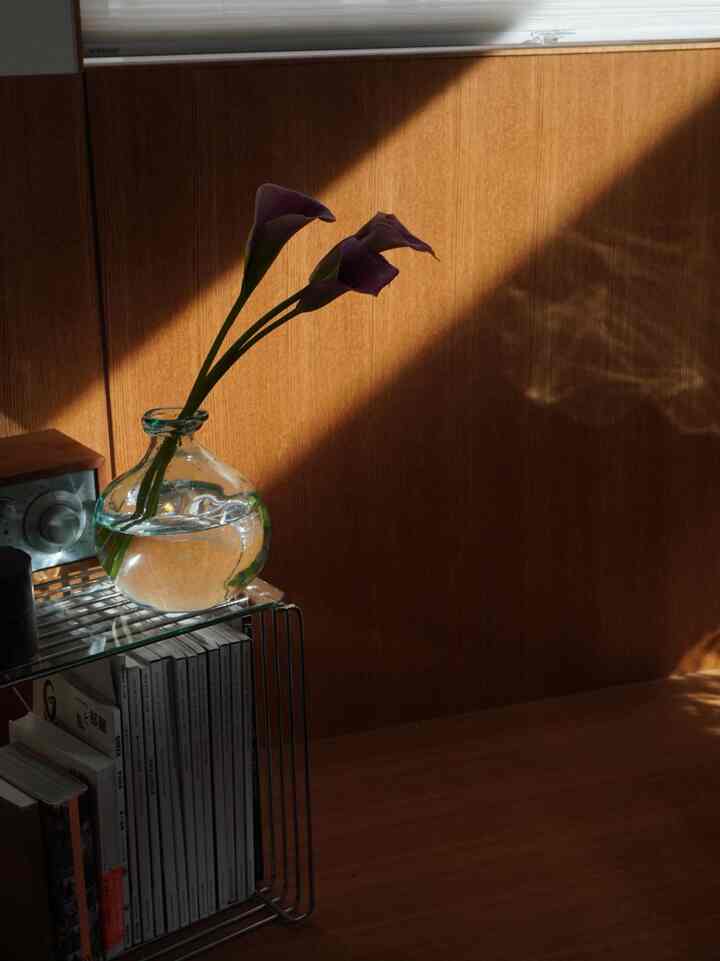 久しぶりにお花を買ってきました

この季節になると現れる
水面を反射したようなキラキラ
がカラーをより引き立ててくれる

#カラー #生花のある暮らし #ベンチ #造作ベンチ 採光計画 #陰影