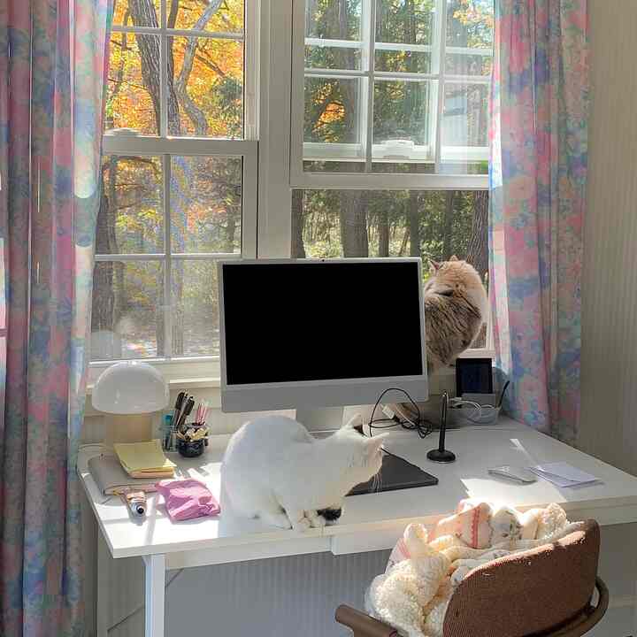 Black Friday telah dimulai! ️
Gunakan kode kupon SARGENTOOO25 untuk mendapatkan diskon tambahan 25% untuk pembelian Anda! ✊

Gorden baru saya terlihat luar biasa! 🫶 Saya sangat senang membelinya! ️

#RuangKerja #仕事部屋 #本棚 #新築 #新居 #ブラックフライデー #カーテン