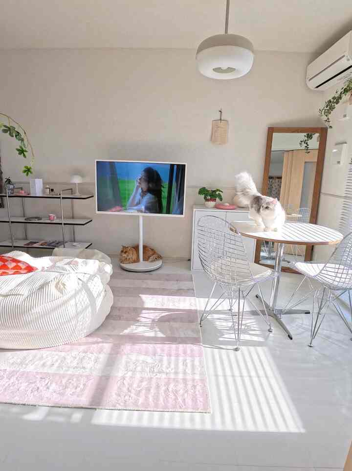 Bright and clean white and pink toned living room featuring a round table, white sofa, and two cats