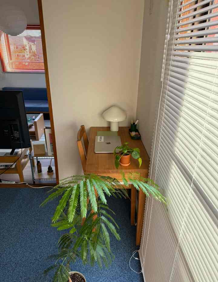 素朴だけどどこか暖かい日常生活🏠
#ナチュラルインテリア　#リビングインテリア　#日常 #ワークスペース　#cozy #cozyroom 