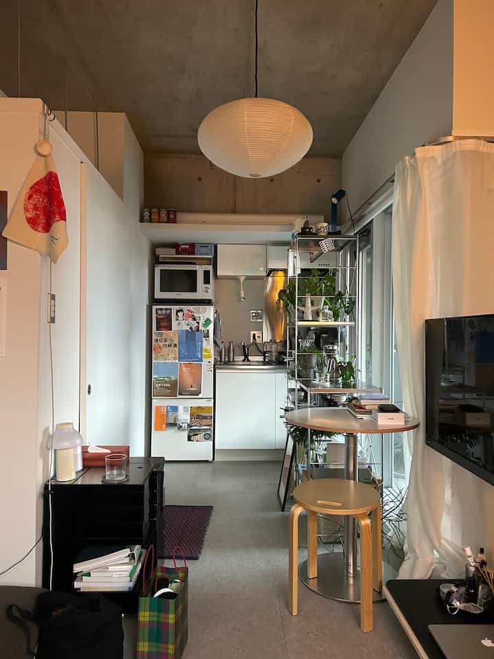 Natural and white toned studio apartment kitchen featuring pendant light, plant shelf, and compact dining furniture with cozy atmosphere