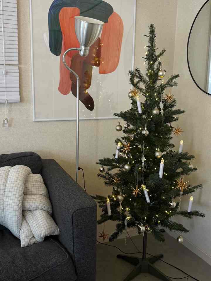 Hiasan pohon baru! ✨
Saya membeli beberapa yang harganya terjangkau dari Amazon, Rakuten, Flying Tiger, dan IKEA. ٩(๑❛ᴗ❛๑)۶
Favorit saya! 🫶🏻🫶🏻

#Amazon #楽天 #ikea #flyingtiger
#PersiapanNatal #オーナメント #クリスマス雑貨