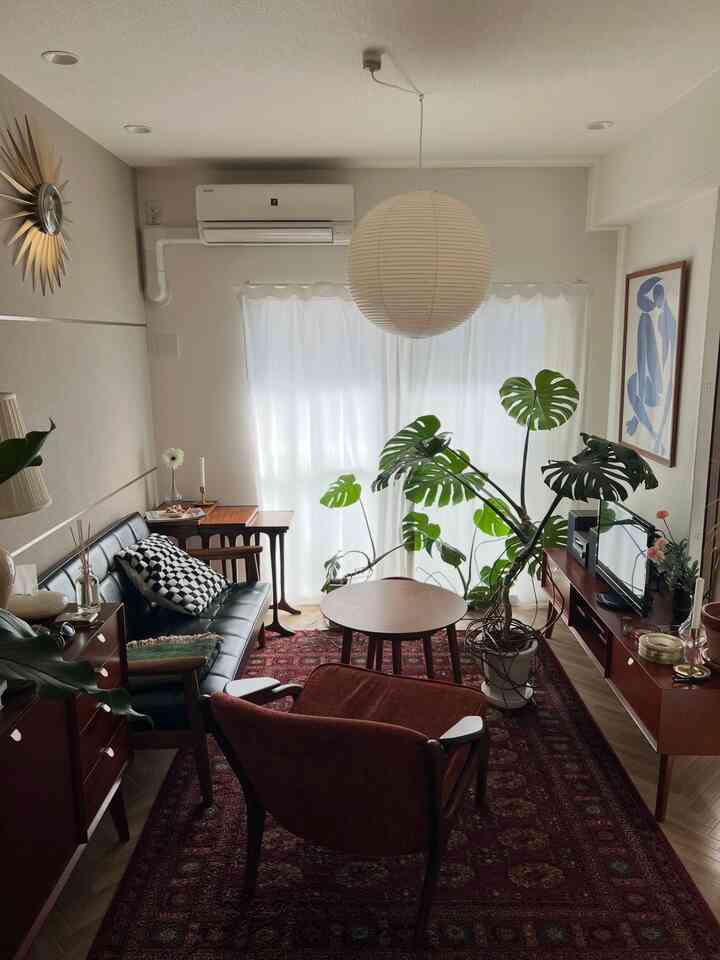 ブラウンとブラックの色調の1LDKリビング、ミッドセンチュリーモダン家具とモンステラ植物が配置された雰囲気のあるインテリア