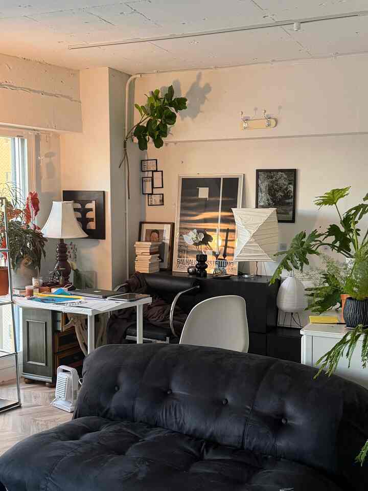White walls and ceiling with a black sofa and various plants in a two-person living room space featuring a natural and hotel-like atmosphere