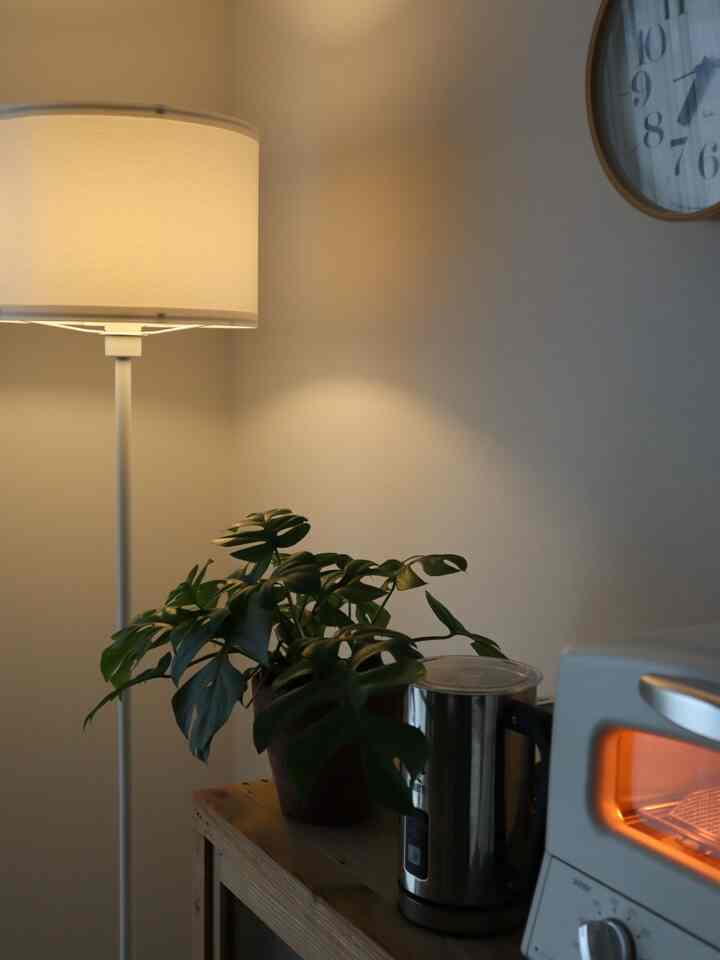 Warm-lit Nordic style kitchen featuring a wooden table with plants and kitchen appliances creating a cozy atmosphere