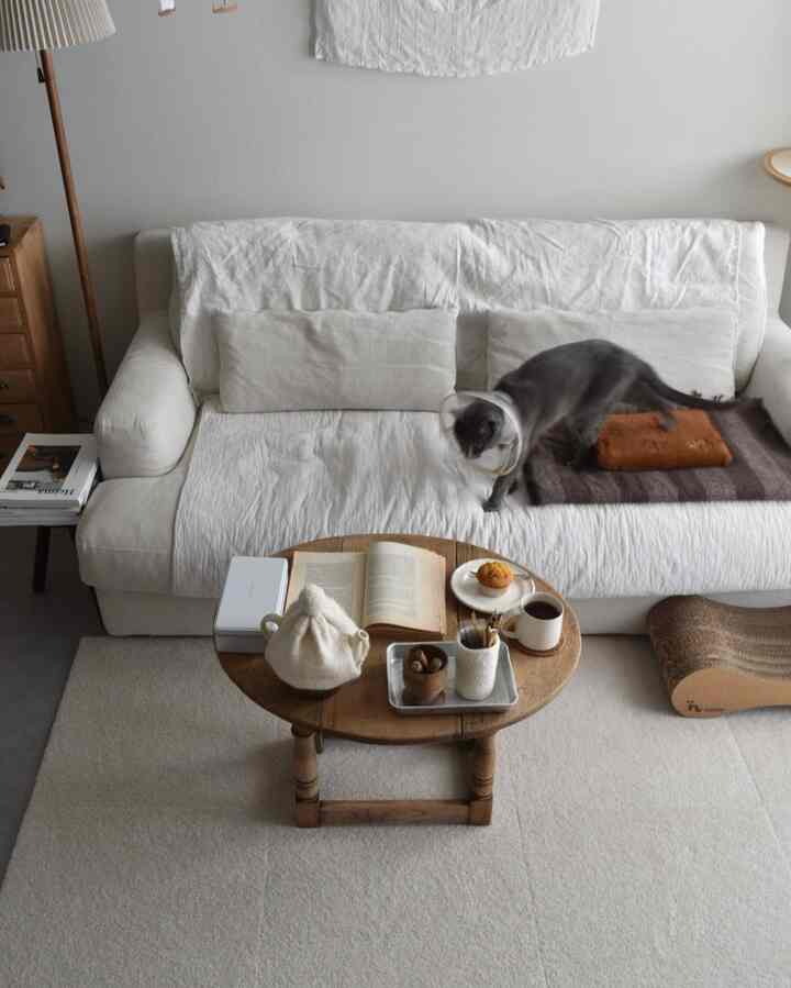 白が好きで、白いものを買いがちだけど、カバーしたり汚れたらすぐ掃除することによってなんとか綺麗さを保ててます。でもよーくよーく見ると汚れてます。

#猫との暮らし #ソファ #賃貸インテリア
#猫とインテリア #ローテーブル #アンティーク
#アンティークインテリア #リビング #マンション #イブル #爪とぎ 