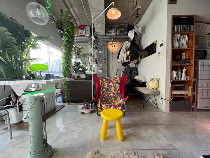 さぶあかです。3連休なの失念していたし早起きでやることはお掃除です。
あんまり撮らないソファ側からの写真。黄色いマンムットがお気に入り。

#ワンルーム #賃貸インテリア #観葉植物 #築50年 #リノベーション #diy #cozy 