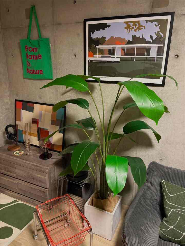 Seni modern Nordik yang serasi dengan tanaman hijau ◎
#InteriorAlami #北欧モダン #アートポスター #ストレチア