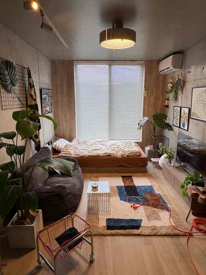 Natural color 1K studio apartment living and bedroom space with concrete walls, featuring sofa and plants for a cozy atmosphere