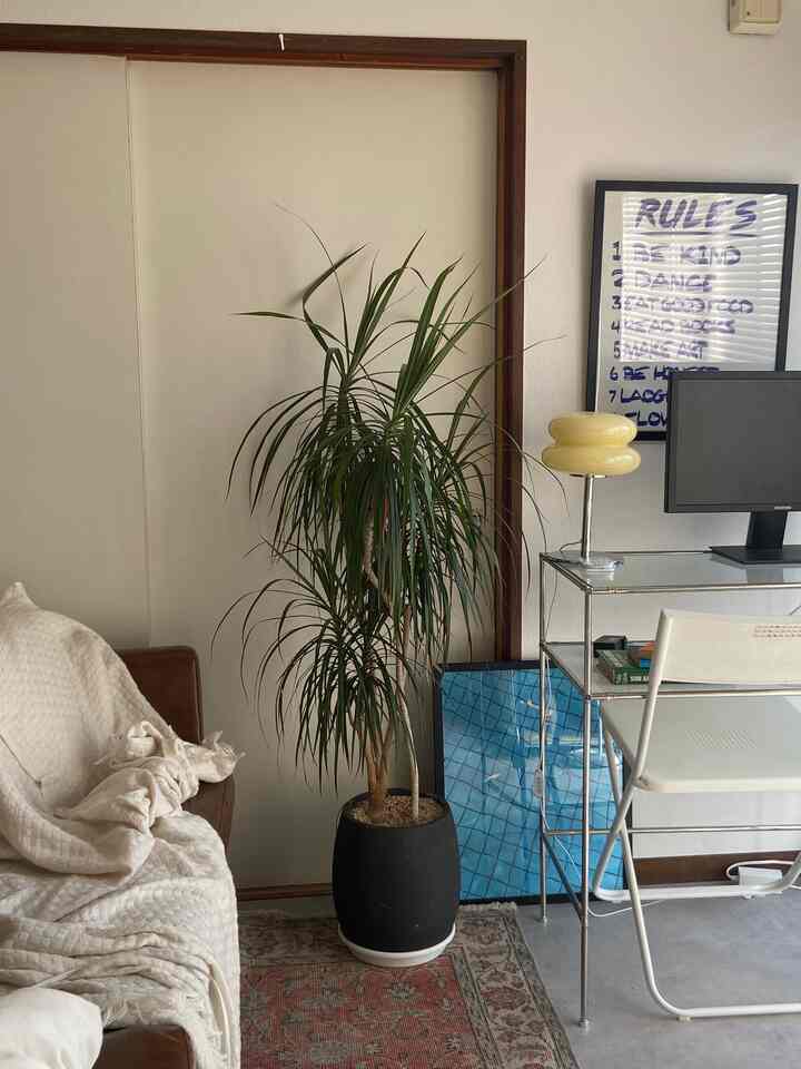 白い壁のミッドセンチュリーモダンのリビング、ブラウンのソファと大きな緑の植物、コンパクトなホームオフィスが配置された空間