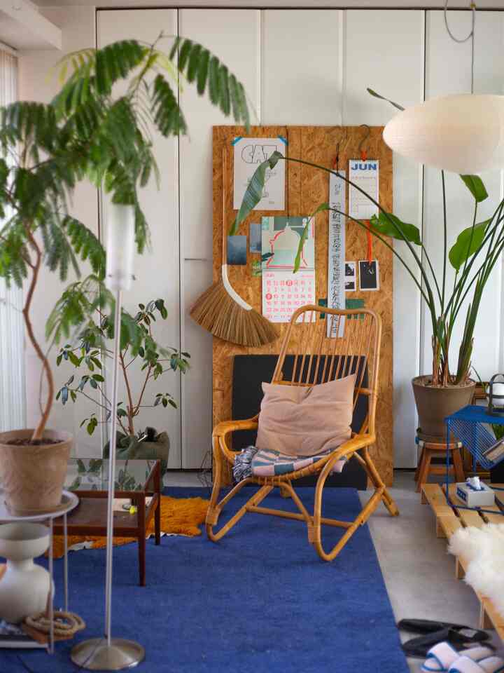 Bright, cozy studio living room with natural wood tones and green plants in harmonious arrangement