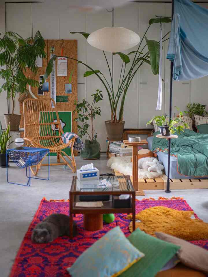 ナチュラルな素材のラタンチェアと大きなペンダントライトがあるブラウンとブルーの色調のワンルーム寝室、パターン柄のラグの上に猫が寝ている雰囲気のあるインテリア