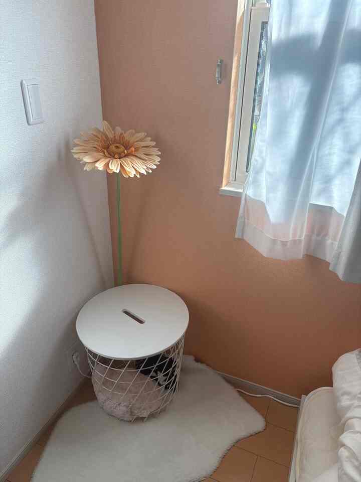 白とベージュのトーンの小さな部屋のコーナー、ふわふわの白いラグ、丸テーブル、大きな造花が配置された雰囲気のある空間