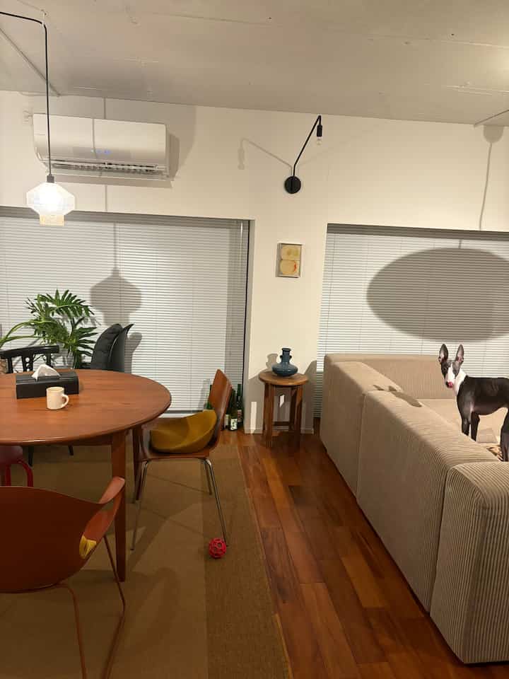 ブラウンの木目調リビングとダイニング空間、ベージュのソファとペットの犬がいる雰囲気のあるインテリア