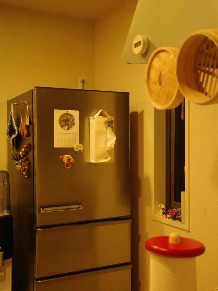 I'm so obsessed with steamers that I bought another one, but now I'm struggling to find a place to store them 🥬
#steamer
#MUJI
#kitcheninterior