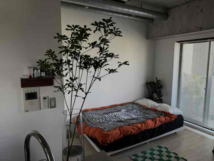 オレンジと黒の寝具があるワンルームの寝室、前景に大きな葉の植物が配置されたナチュラルモダンなインテリア