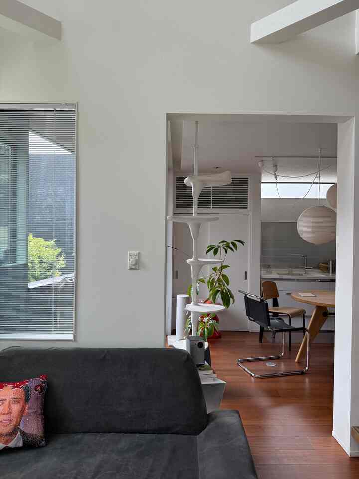 Bright ivory walls and wood-tone floors define a living room featuring a sofa, dining table, and cat tower in a natural ambiance