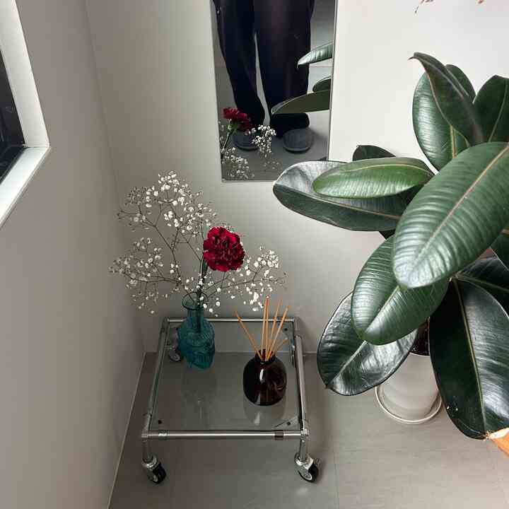 白い壁と床の玄関空間、中央に鏡があり、小さなガラステーブルに植物とディフューザーが配置されたミニマルなインテリア