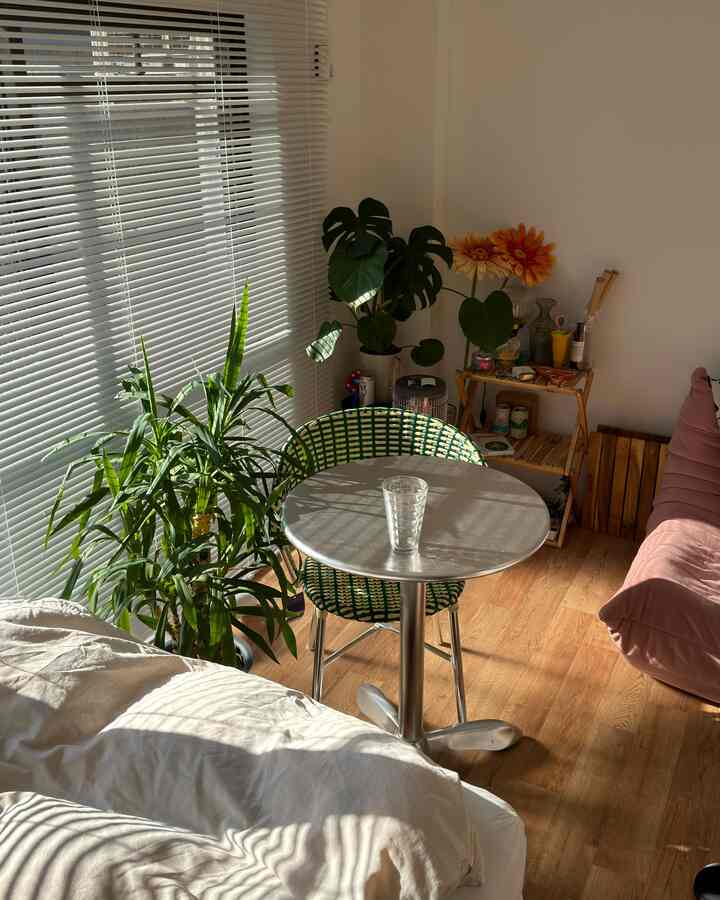 Bright living room with natural color tones and wood floor, featuring single household setup with dining table and sofa creating a cozy atmosphere