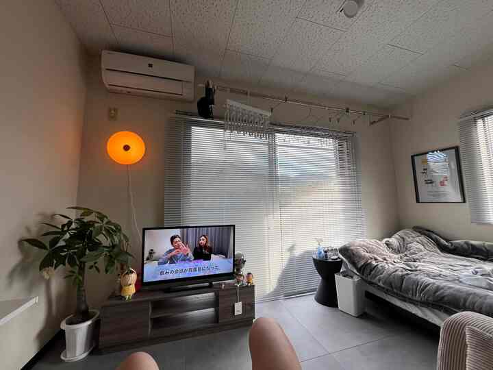 Bright 1DK bedroom with white walls and gray bedding, featuring a TV, blinds, and a Pachira plant in a simple and cozy setting