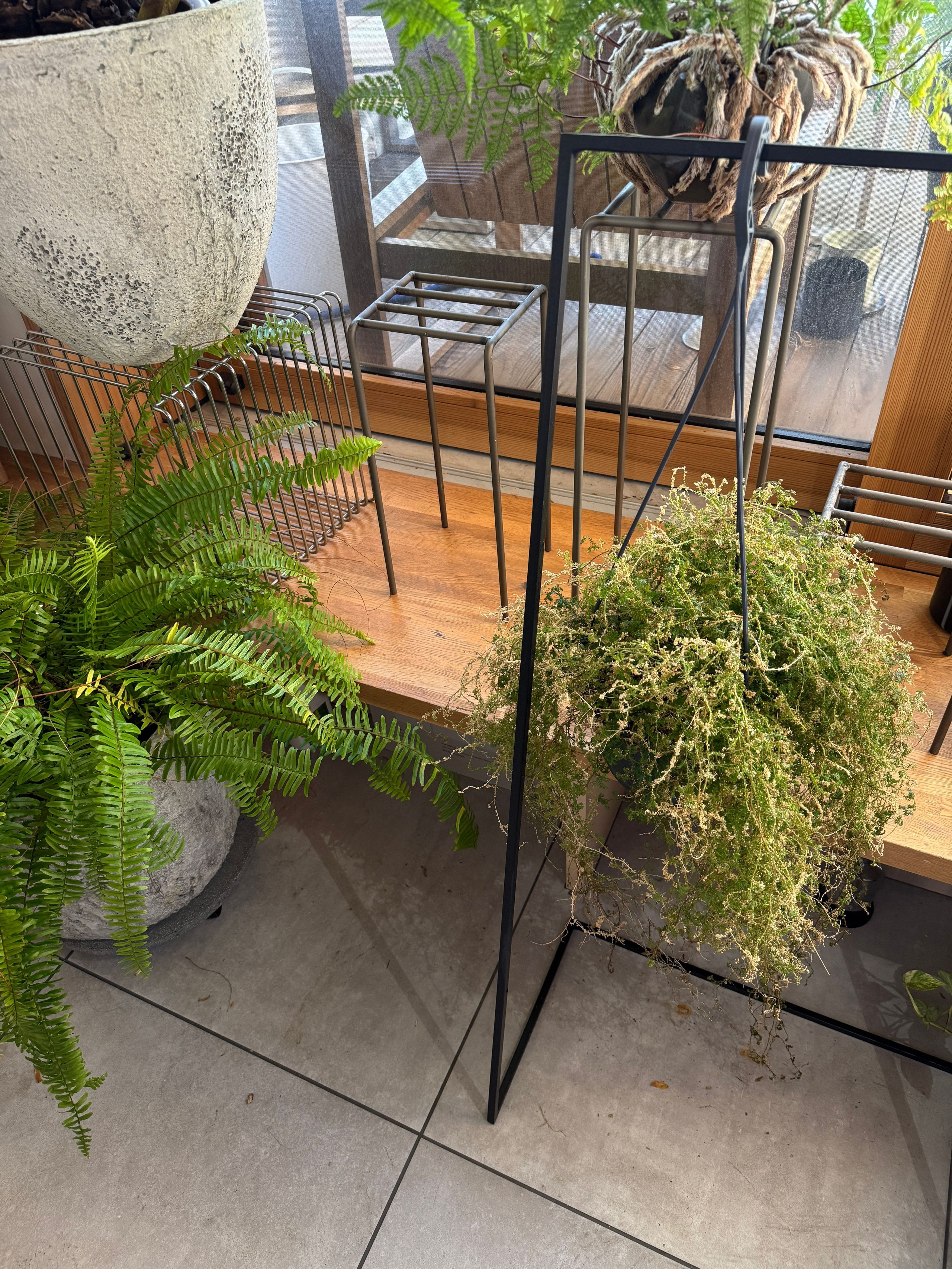 D&M DECO スクレイプポット Ф38 鉢カバー | 花瓶・鉢カバー | Ohouse