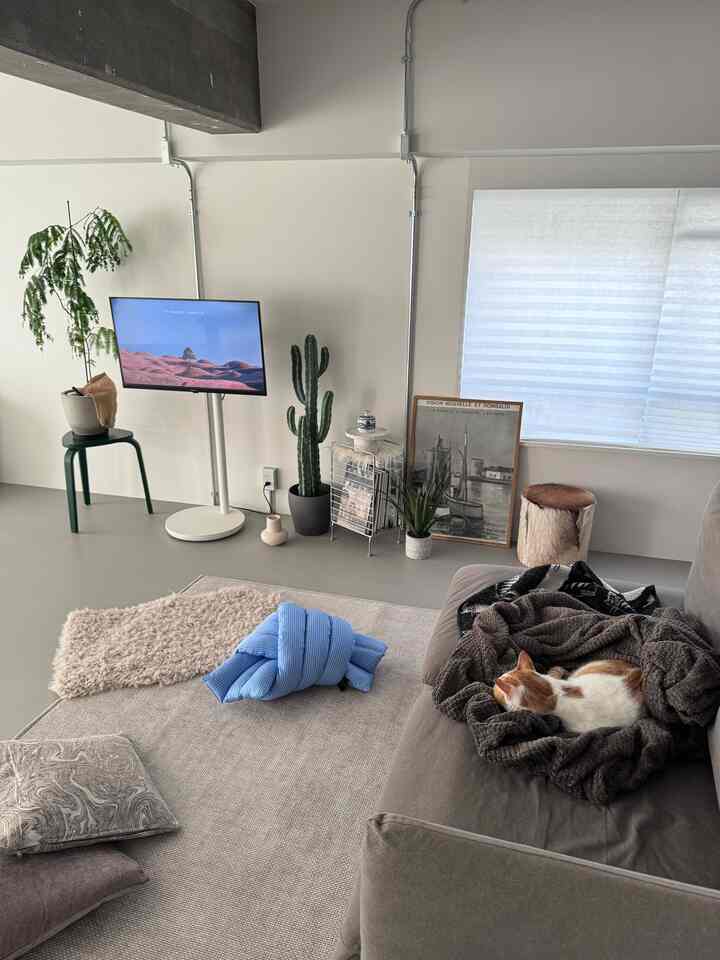 ベージュとグリーンの色調が印象的なリビング、ソファで眠る猫とナチュラルな要素が配置されたモダンな雰囲気のインテリア