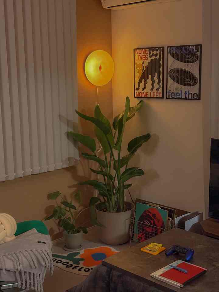 念願のストレリチアを迎えました🌱
まだまだ大きくなるらしいので、
成長が楽しみです😚💭
IKEAのドーナツランプとの相性◎
最近はグリーン×オレンジの配色が
気に入っています💚🧡

#ストレリチア
#観葉植物
#植物のある暮らし
#模様替え
#間接照明
#フロアライト
