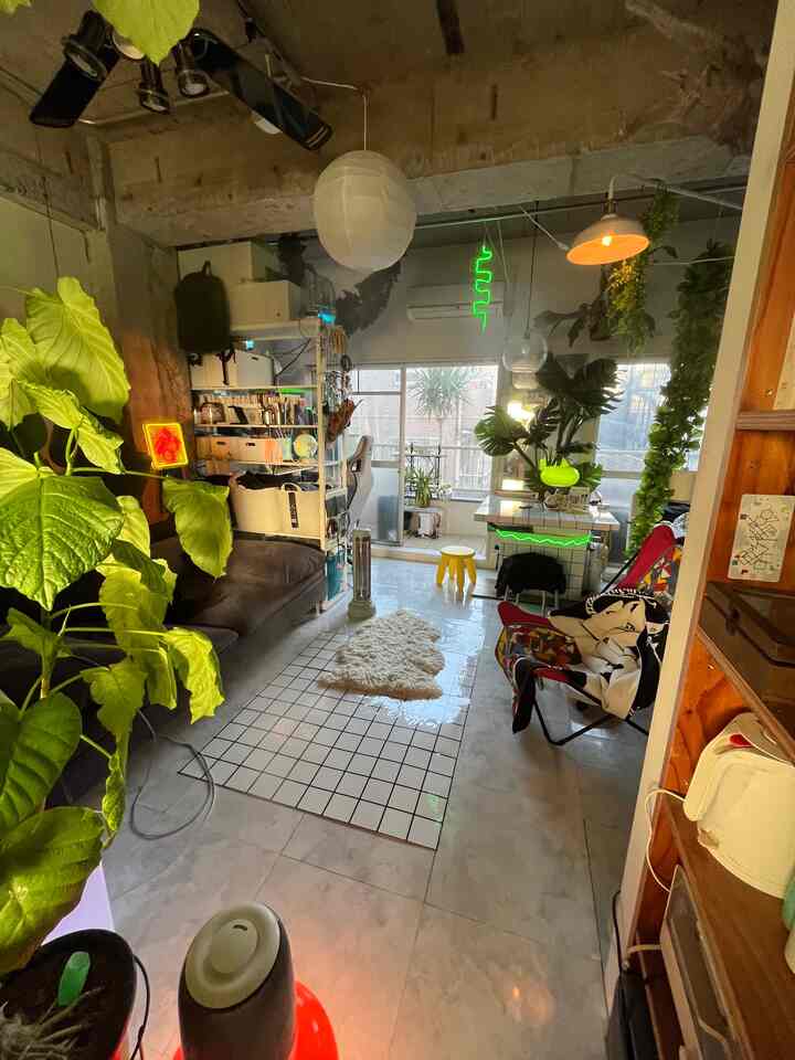 Natural toned studio apartment featuring abundant plants and pendant lights with a cozy atmosphere