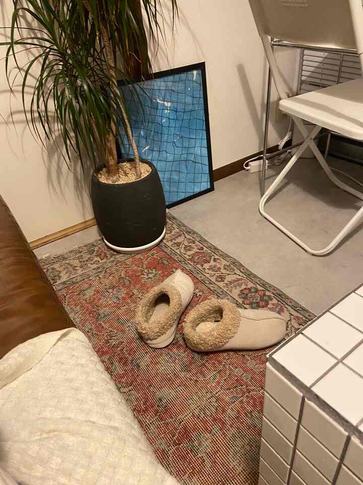 Natural color living room featuring brown leather sofa, patterned rug, plant and picture frame creating cozy atmosphere