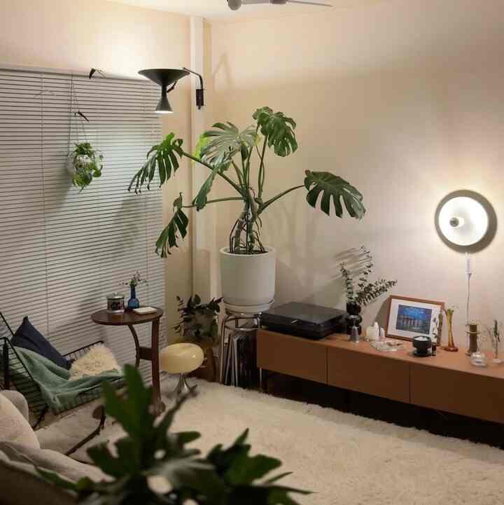 Kamar untuk malam November🍂🌰

#Ruang Tamu #リビングインテリア #インテリア #リビング照明 #インテリア照明 #間接照明 #インテリア小物 #インテリア配色 #リビング小物 #照明 #lamp #interior #myroom #livingroom #color