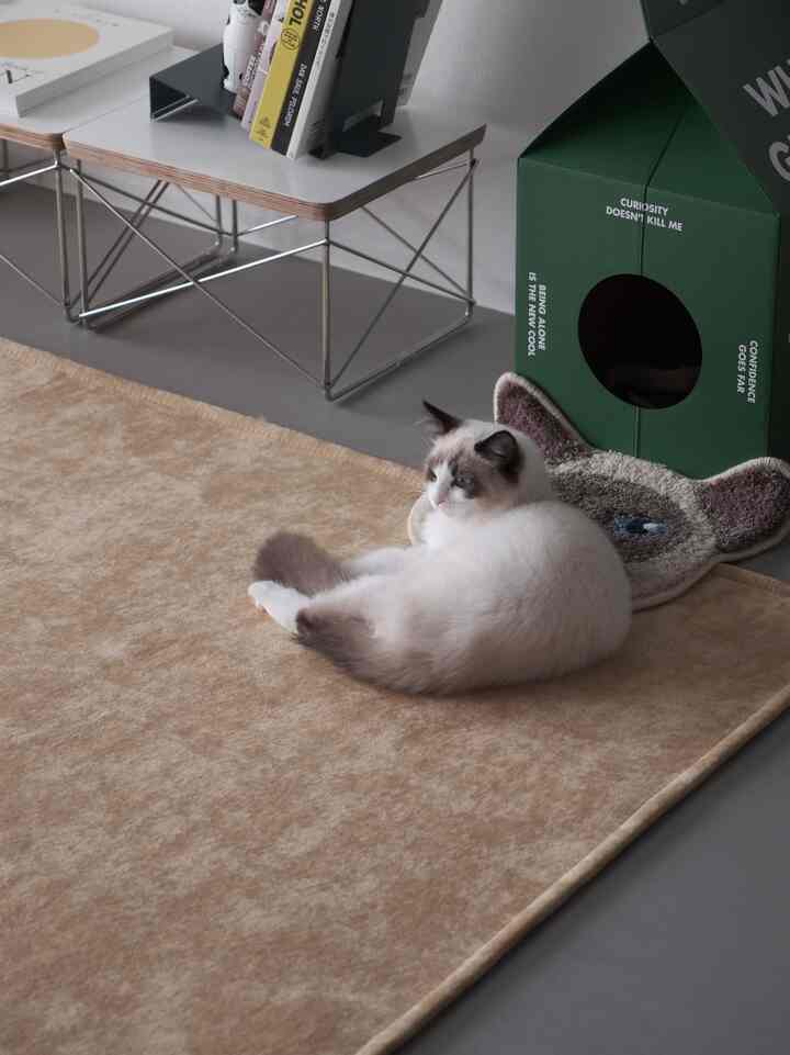 Beige rug featuring a white cat and green pet house creating a cozy pet-friendly area