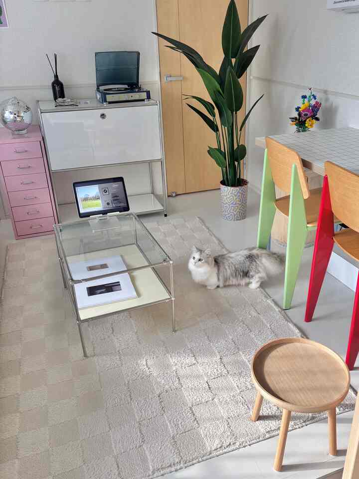 ベージュとホワイトの色調のリビング、ラグの上に猫がいて、ナチュラルな木製家具と大きな植物が配置されたシンプルで落ち着いた雰囲気のインテリア