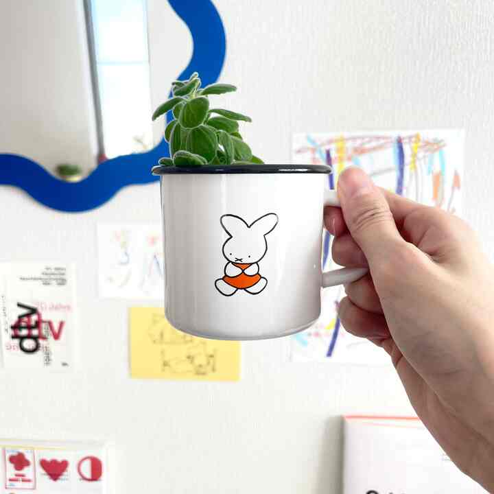 最近購入した、ちいちゃいコップ🐇🥛 

#食器集め #富士ホーロー #ミッフィー