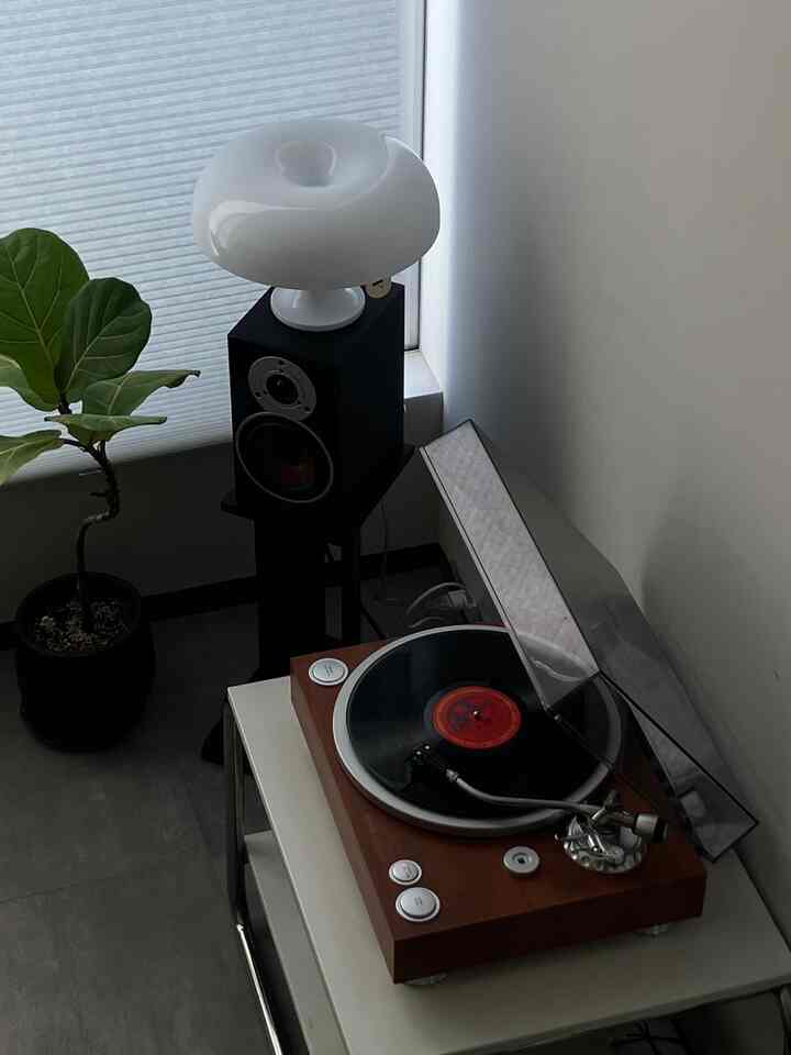 ナチュラルカラーとブラックが調和した狭い部屋に、レコードプレーヤー、スピーカー、白い照明、植物が配置された落ち着いた印象のインテリア