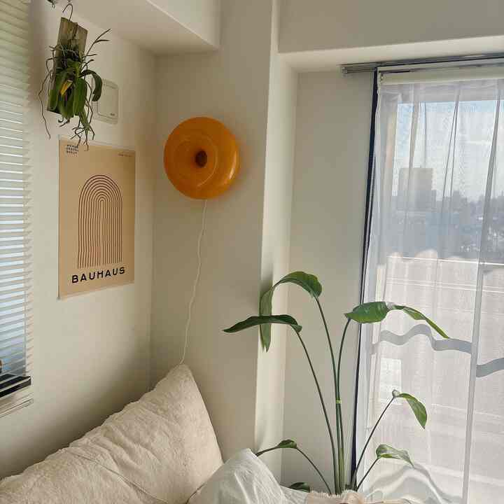 植物増えました。実家から貰った徒長気味のストレリチア。葉を育てたくて光いっぱいの場所に。
#ベッド　#ベッドルーム　#ミッドセンチュリー　#一人暮らし　#1K  #植物  #ストレリチア　#8畳
