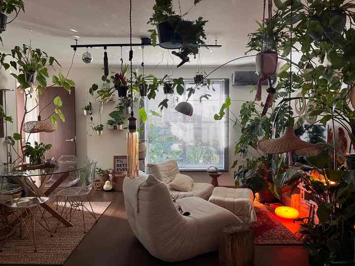 ミッドセンチュリーモダンxナチュラルxボホーのミックスインテリアに植物を沢山プラスして森林感を演出。私のお気に入り空間🪴我が家のリビングは2階にあるので日当たりも抜群で植物も元気にもりもり育ってくれます🌿💛

#お気に入り空間　#ミッドセンチュリーモダン　#ナチュラルインテリア　#ボホーインテリア　#森林　#観葉植物インテリア　#グリーンインテリア　#リビング　
